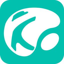 mk网页版打不开了首页的常见原因与解决方法